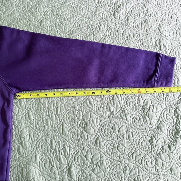 Texas Christian University Horned Frog Colosseum NCAA Hooded Sweatshirt Sz L - Picture 10 of 12